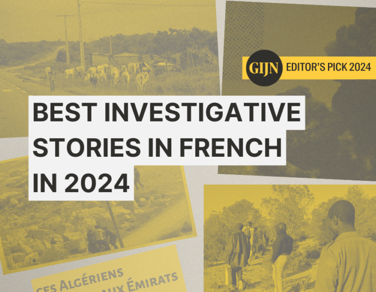 Best Investigative Stories In French in 2024