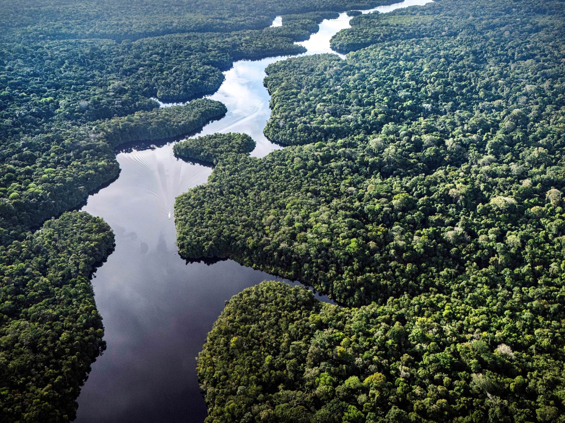 The Ricardo Franco Scandal: Repeated Sourcing from Embargoed State Parks