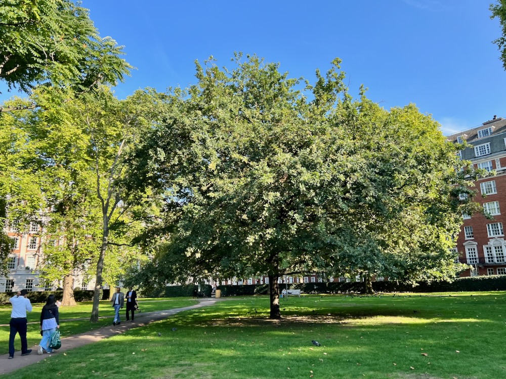 Design and Construction of the Saarinen Chancery (1955, 1960)