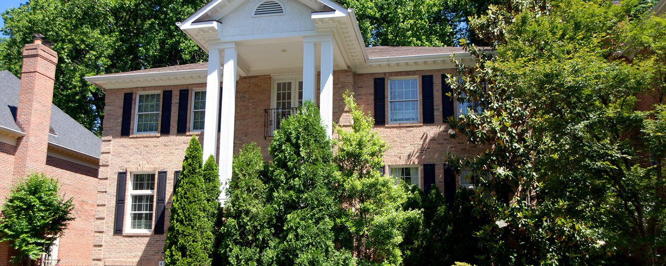 Architectural Competition and Marc Mimram Proposal