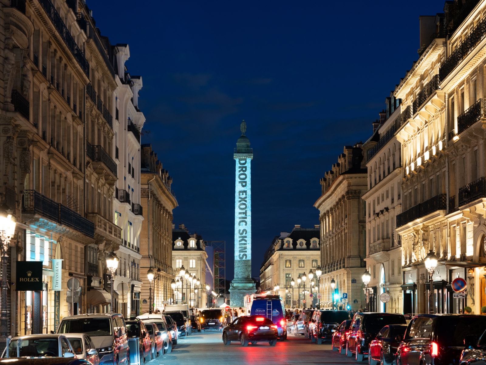 Vietnam's Concrete Pits: Investigative Evidence of Confinement Conditions in LVMH-Linked Crocodile Farms