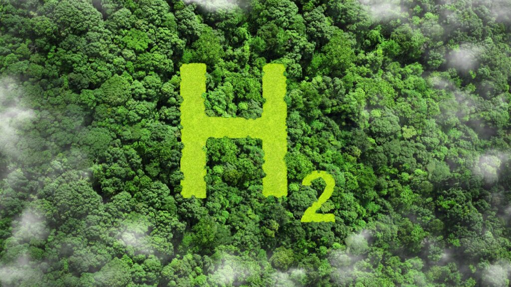 Green Hydrogen Hype