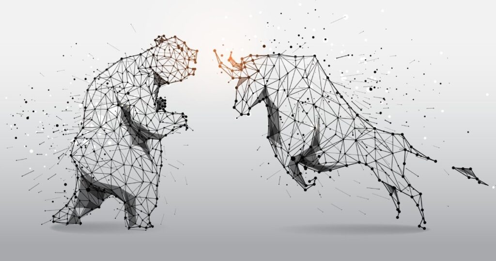 bear vs bull 1