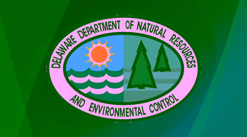 The 'No' Checkbox: Falsified Hazardous Waste Declarations in Delaware